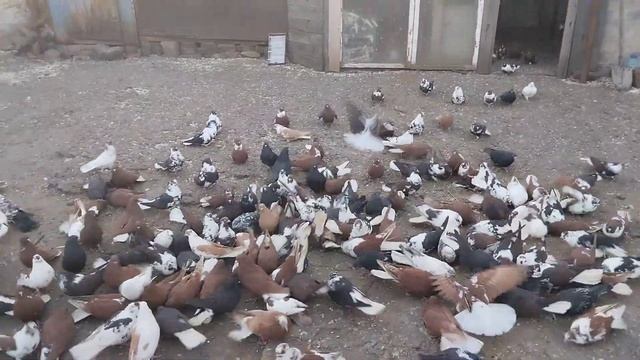 Aabb9e4fc1969ebbd16224bd73e0c922