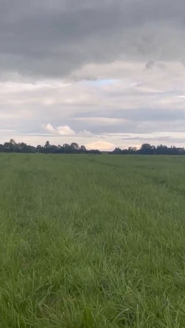 30 июля 2024 г.