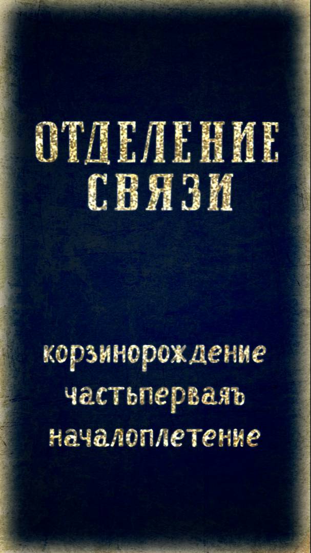 Мы у Ромы отдыхали, ёлки в сосны заплетали!
