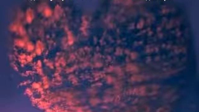 Любовь Твоя велика