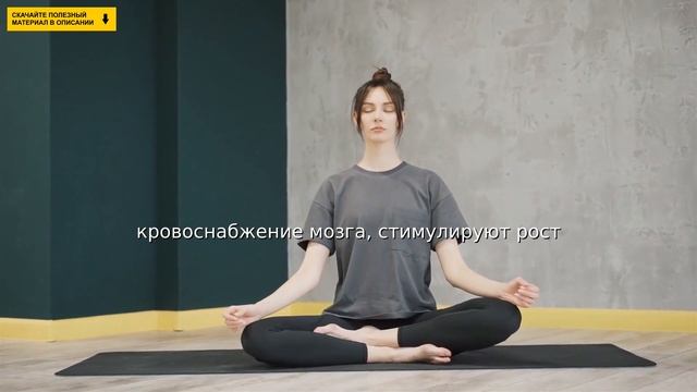 Как стать умнее?