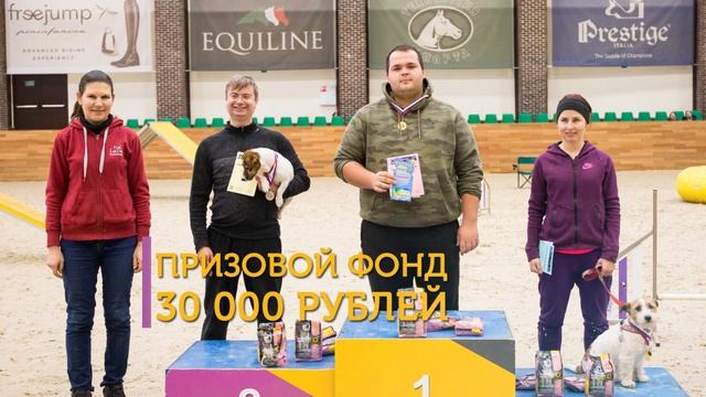 20 октября 2019: Соревнования по аджилити