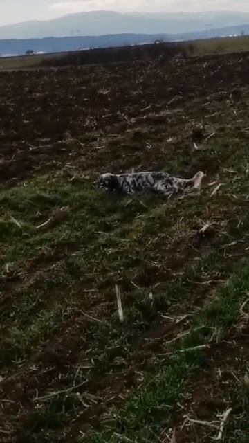 2 февраля 2024 г.