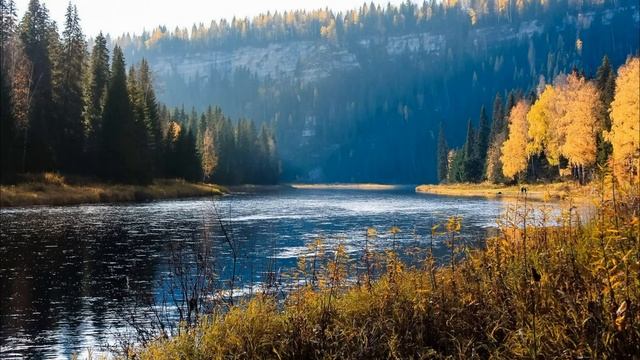 Даша была таким человеком, который помогает близким и друзьям всегда и везде.