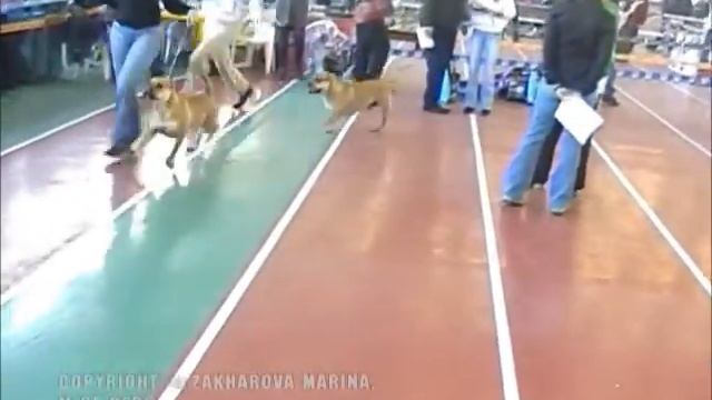 Моно Ка де бо 5.11.2005, ЛС/Mono 5.11.2005, Best Female