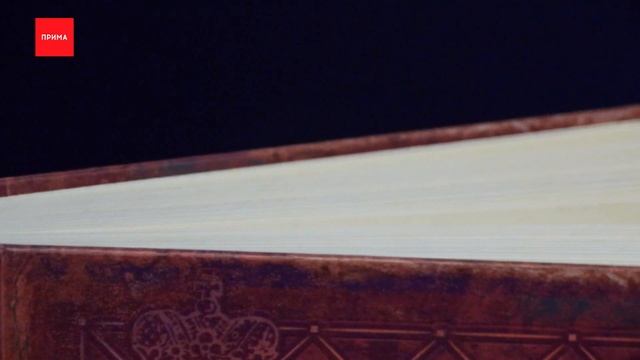 Акунин, Гоголь, Савельева: что почитать?