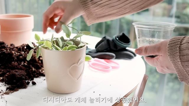아픔이 지나고 난 자리🌾 - 내 탓이 아닌 불행을 담담하게 흘려보낸 한편의 기록