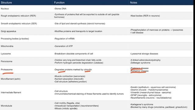 Section II - Cell Structure