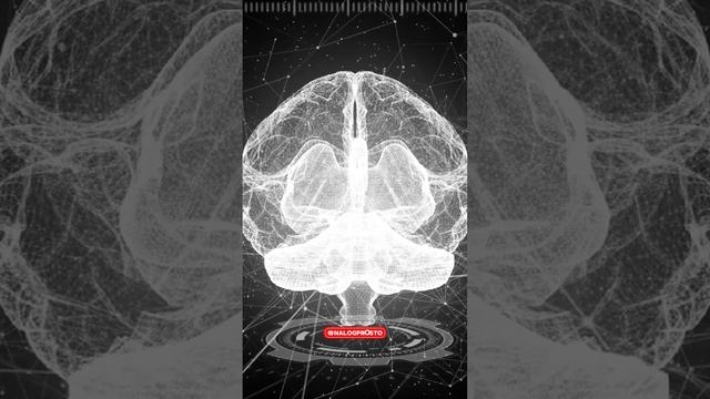 17cc8b27fd96d78617afb25d3507c0f6