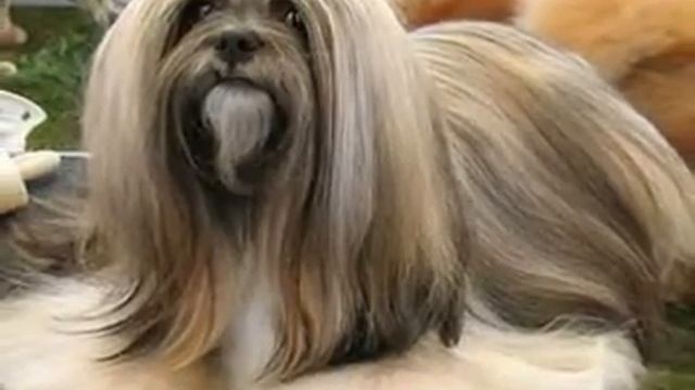 Cc842166f222b8abe2264bbf4a3b543a