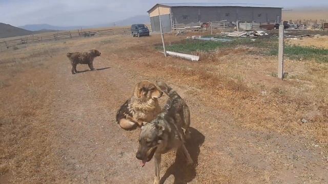 D3ac0b9833ca67c612bd1aaab4166346