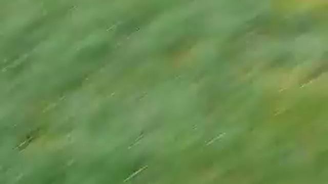 КА ДЕ БО СHUСK (AVE MY LORD UTRENNYAYA ROSA) Kiev,Ukraine