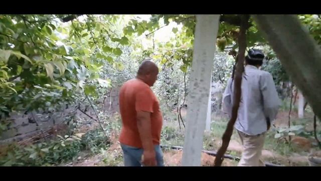 БЛОГЕР ОХУНОВ ТВ ДАМ ОЛГАНИ БОРГАН ПАЙТИДАГИ ХОЛАТ(ОХУНОВ ТВ)