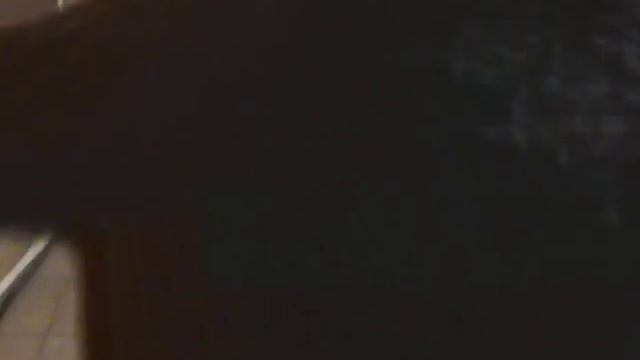 Босерон, тапочки, ведро и кот