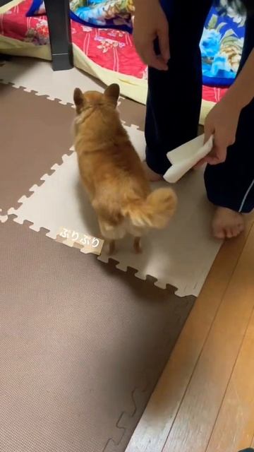 トイレの後はこれ！