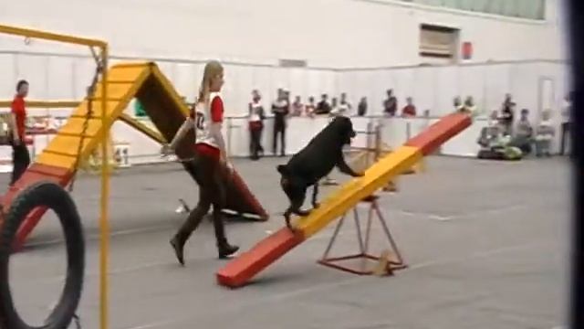 006010d8f6269fe41a2a1b844dc65d94