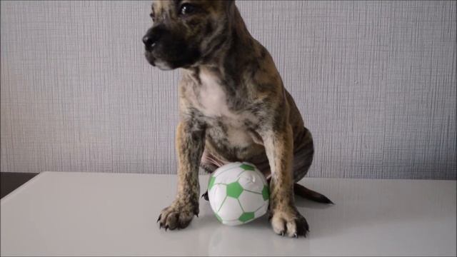 Ка де бо футболист