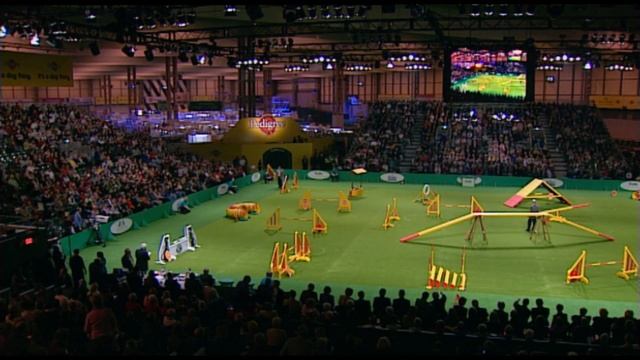 Agility Championship Final From Crufts 2006 | Crufts Dog Show