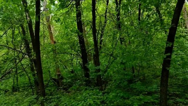 САМВЕЛ АДАМЯН СНОВА ИЗDЕВАЕТСR НАД МАТЕРЬЮ. НОВЫЙ СЦЕНАРИЙ ДЛЯ РАЗДРАЖЕНИЯ Т.В. У НЕЁ РАЗРЫВ SrАКN