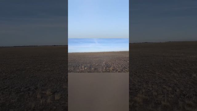 Кушіктердің коян куы