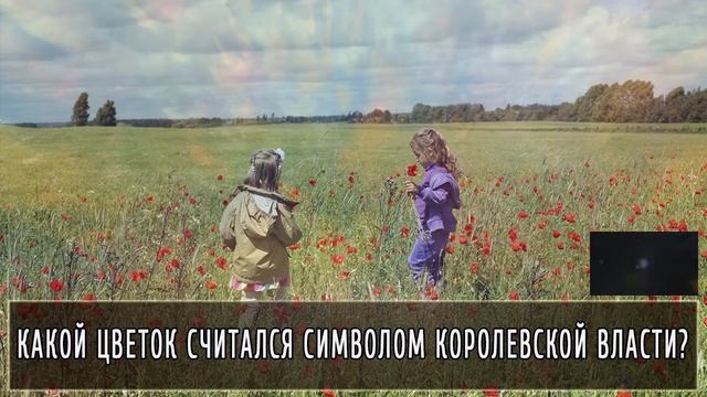 Накопленный багаж знаний можно применить  в этом видео