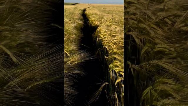 462bcb97e952afce5d4fe293864d7aa4