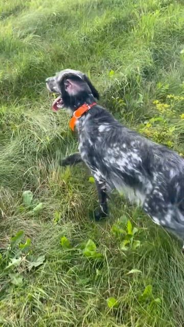 9 августа 2024 г.