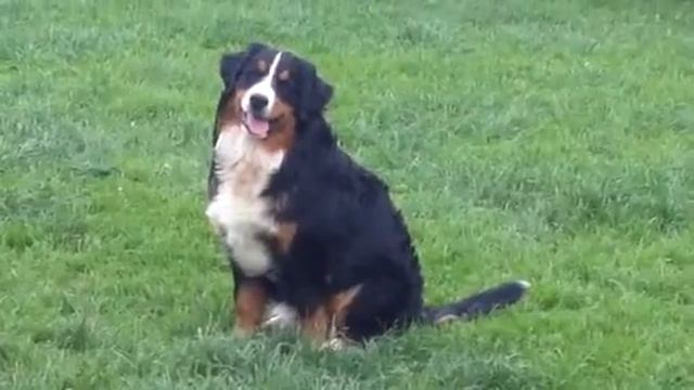 Мое измененное видео