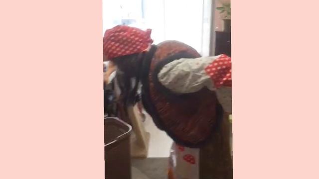 31 августа 2023 г.