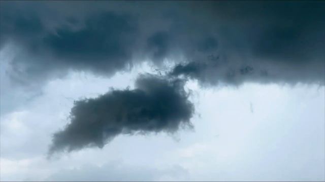 8b53c24d1f741acb946147e7c66b5c13