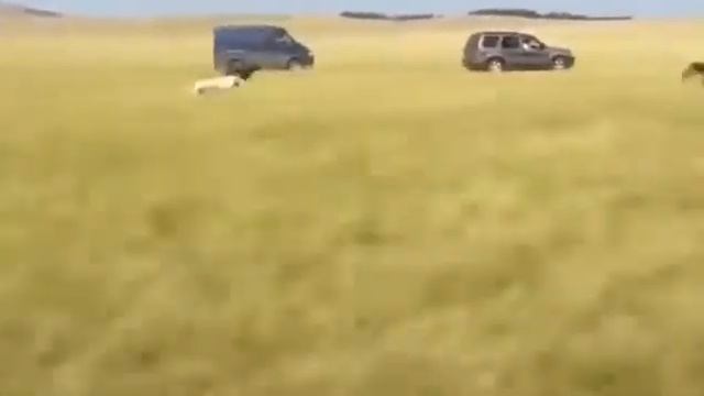 585a9fba67272bfc0fd6e30e80bb0a21