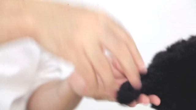 Renato Leiva - Estilo German Clip Em Poodle