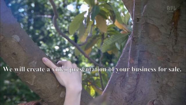 Business For Sale Assistance