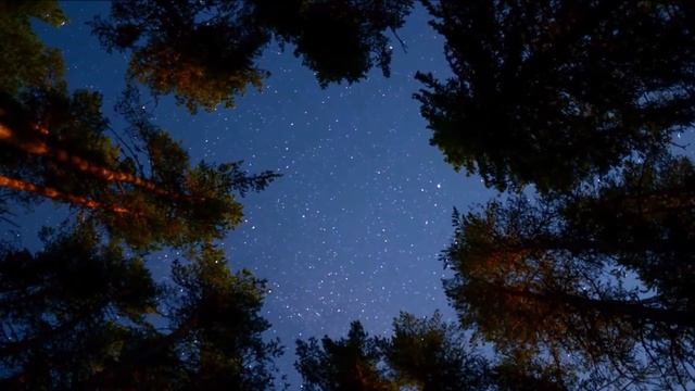 Хочешь, достану звезду?