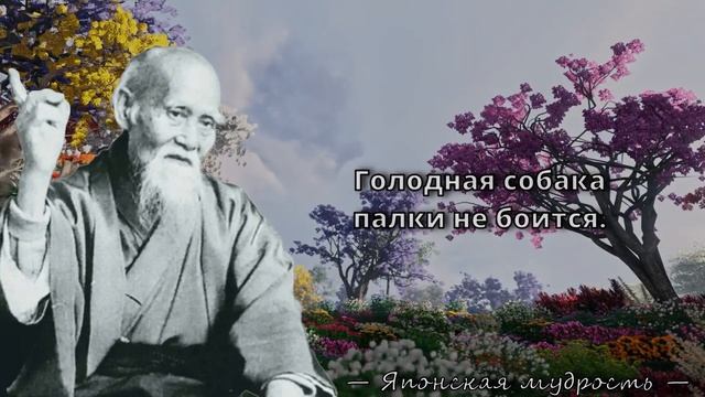 Японские пословицы и поговорки, которые стоит послушать!