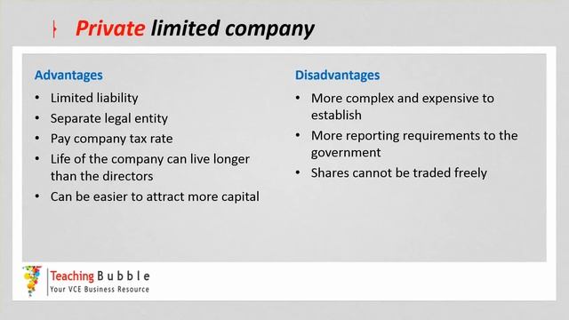 VCE Business Management - Companies