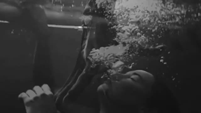 Ведьмоловы. Город Спящих