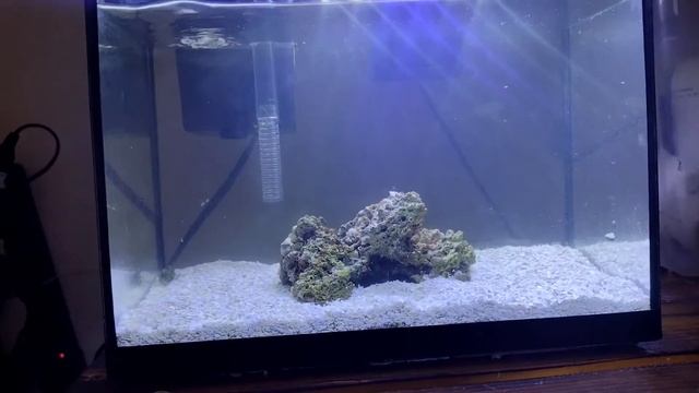 Pico Reef 5 L 400 Ml