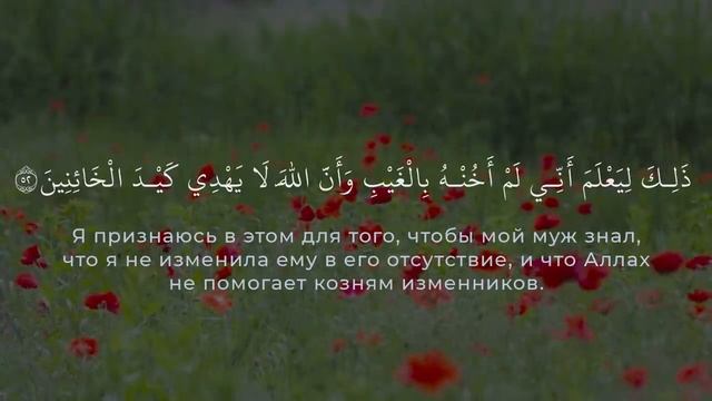 Мухаммад Тарик  сура Юсуф