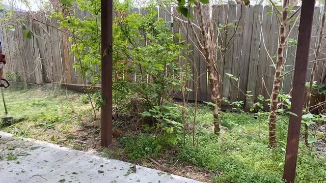 How To Cut Grass And Run Your Own Business