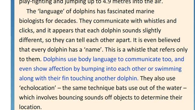 ASPECT 11 For Kaz M2d DARK SIDE OF DOLPHINS Text