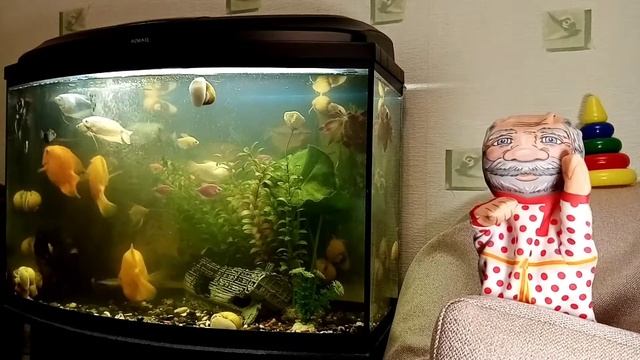 61439b774da745ae8f5efcadf5887bdc