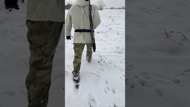 Охота осень 2024.