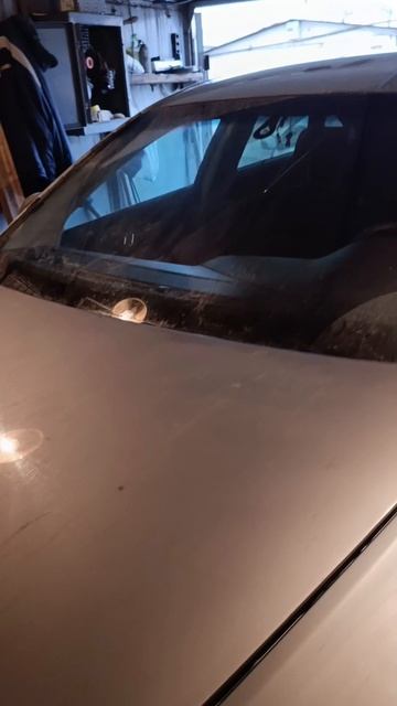 СтеклоВася