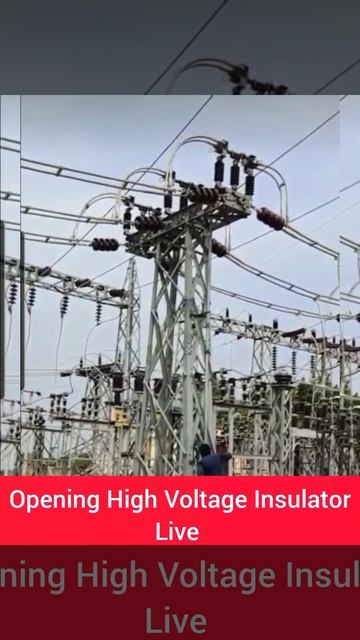 Opening High Voltage Insulator// Live Video// Short Video BG STUDY//#bgstudy 😍🥰😍