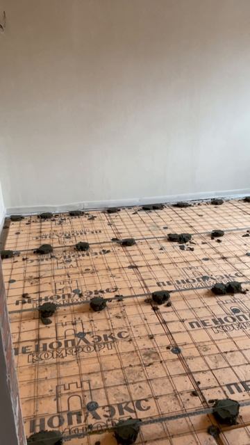 Ac92002574c808d8fa8b0e549265864d