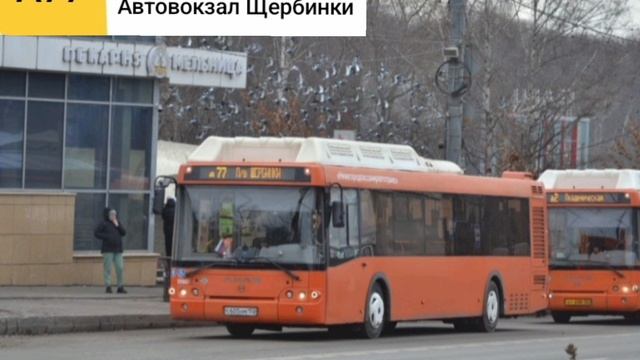 Информатор Автобуса А77 из Нижнего Новгорода.