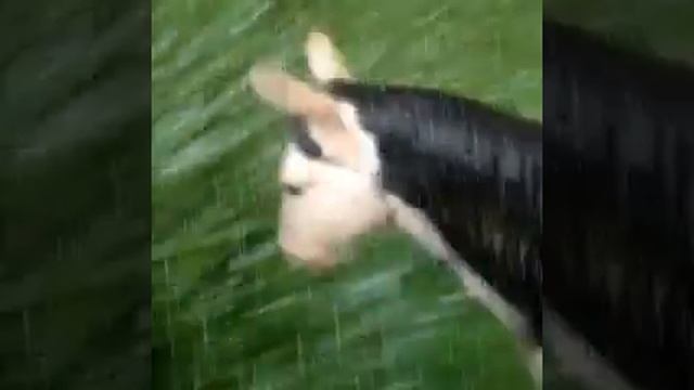 Спирит 1 серия