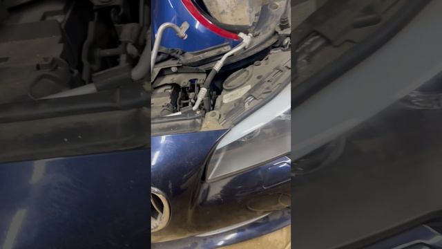 Ноускат bmw
F10