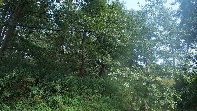 Орловский рубежжжж